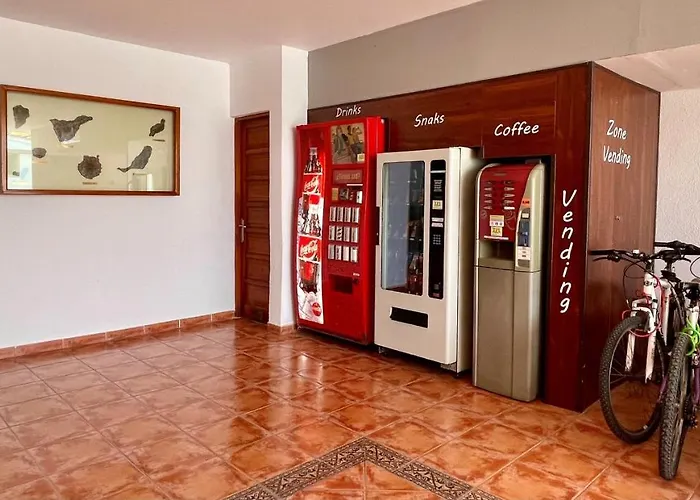 A91 Flat بيت للعطل